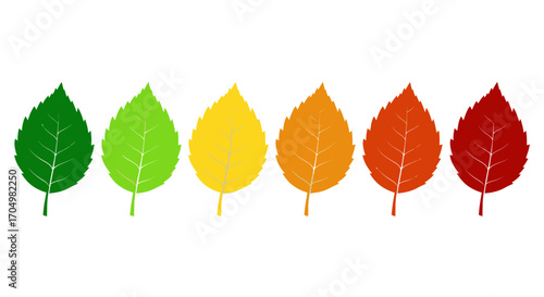 Autumn Leaves Color Change Sequence.