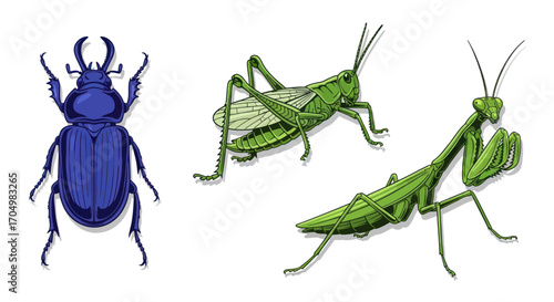 Three distinct insects: a blue beetle a green grasshopper and a green praying mantis.
