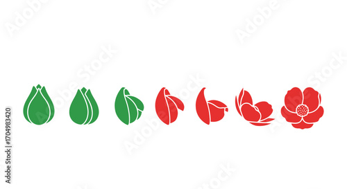 Flower Blooming Stages: From Bud to Full Bloom.
