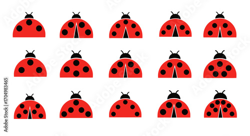 Ladybugs in a Grid Pattern.