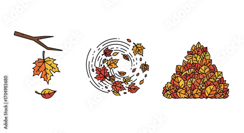Autumn leaves in various stages of falling and piling up.