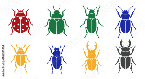 Collection of colorful beetle illustrations showcasing insect diversity and design.