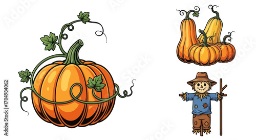 Autumn Harvest Pumpkins Gourds and Scarecrow Illustration.