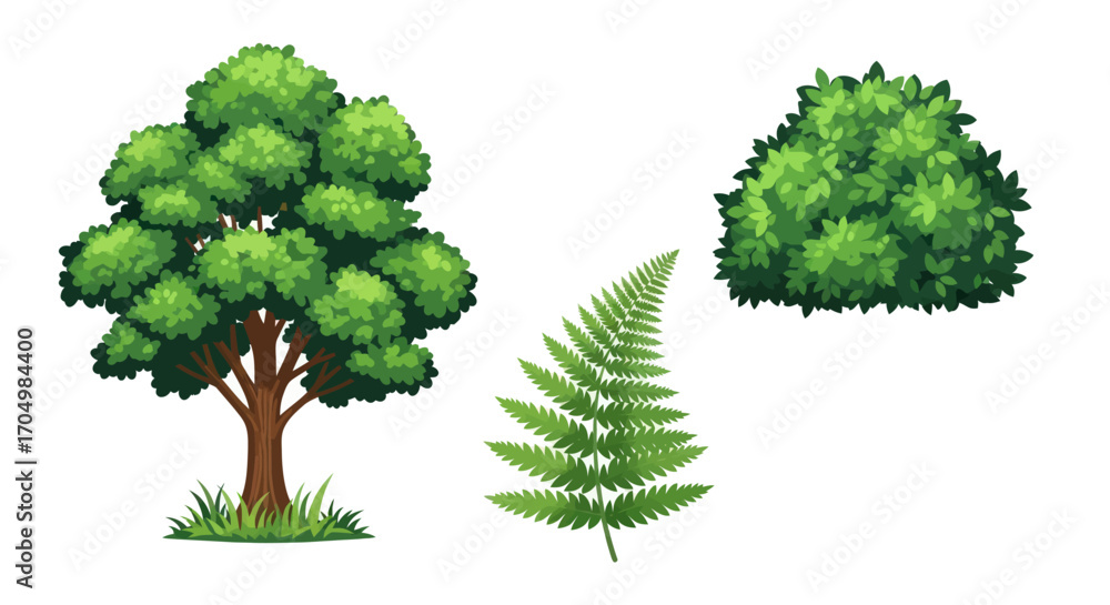 Fototapeta premium Illustration of a tree fern and bush showcasing natural elements in vibrant green.