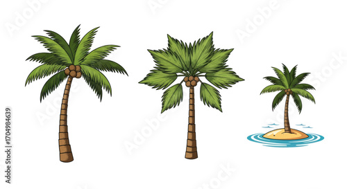 Diverse Tropical Palm Trees Illustration Collection.