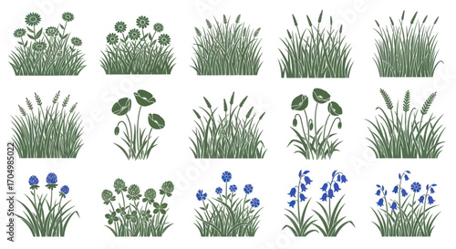 Collection of diverse botanical illustrations featuring wild grasses and flowering plants.