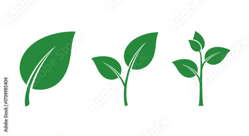 Green Leaf and Sprout Growth Stages Vector Illustration.