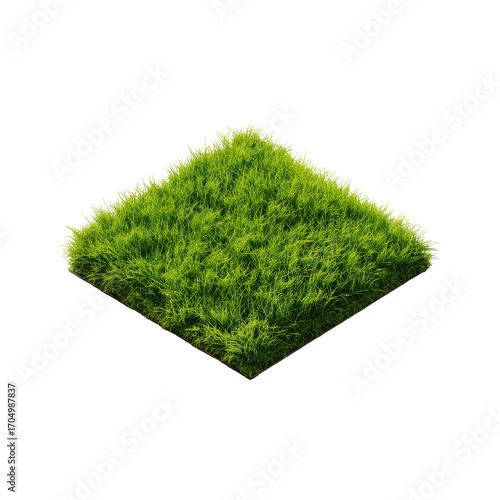 Isometric square of vibrant green grass
