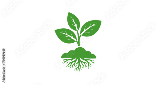 Green plant with healthy roots and vibrant leaves symbolizing growth and nature.