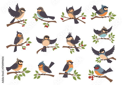 A collection of small diverse feathered songbirds perched on twigs with red berries