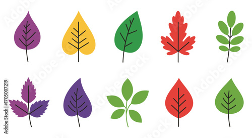 colorful leaves arranged neatly showing various shapes and hues