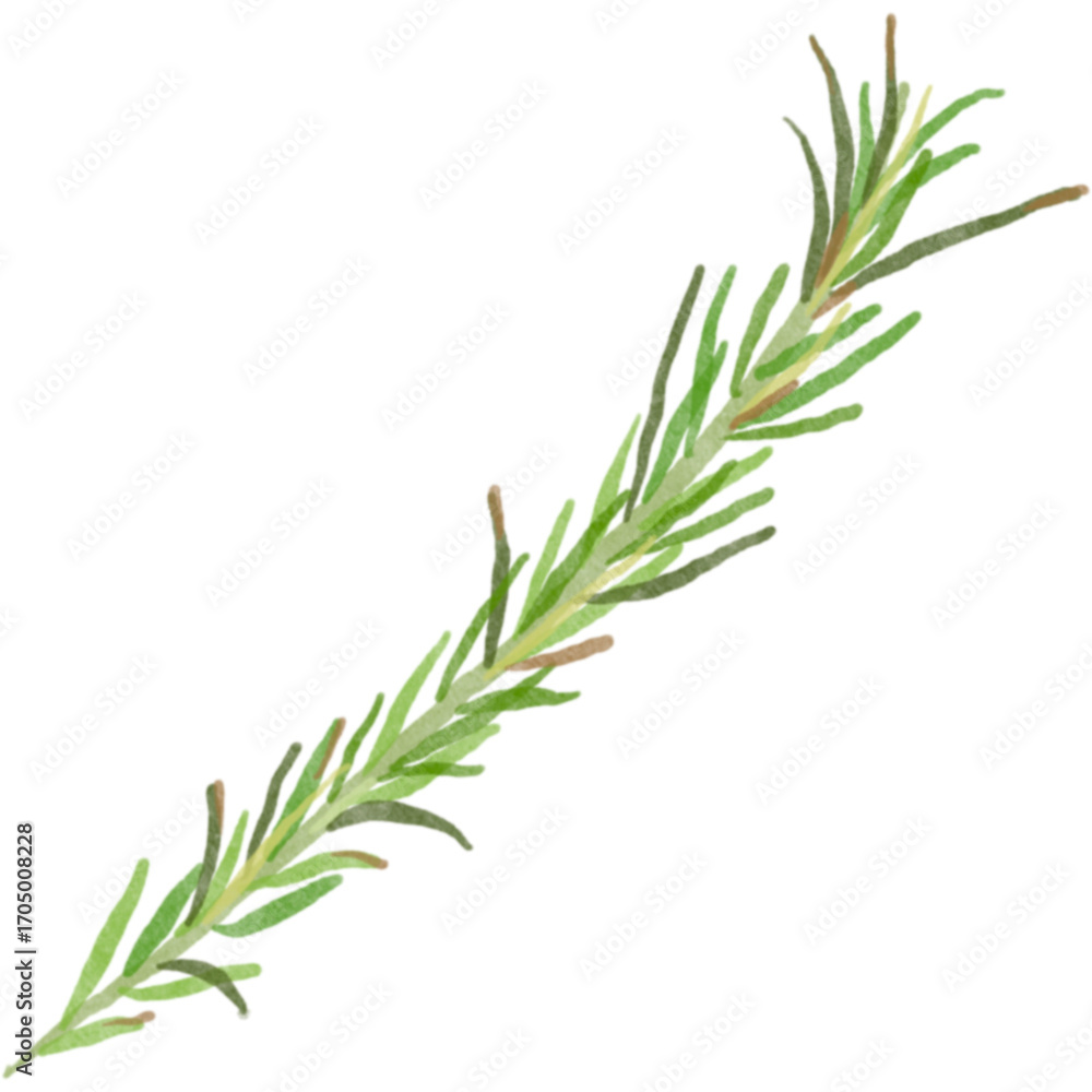 Fototapeta premium 허브