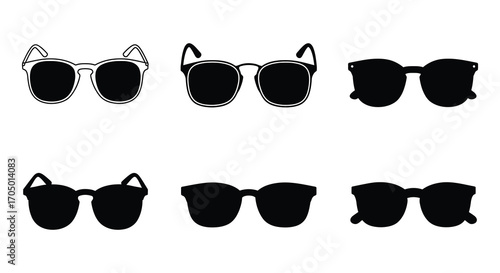 various styles of sunglasses displayed in neat rows