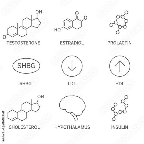 Set of hormonal and molecular structures with minimalist line design