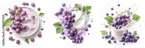 Circular creamy milk or yoghurt splash with purple grapes and leaves, isolate on white background. Collection.