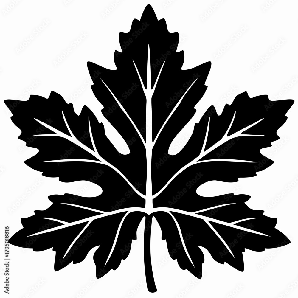 Fototapeta premium Elegant Maple Leaf Silhouette Vector Design