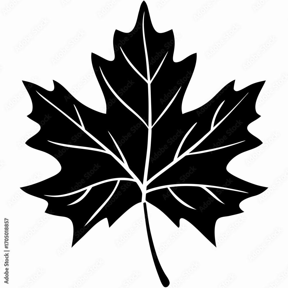 Fototapeta premium Elegant Maple Leaf Silhouette Vector Design