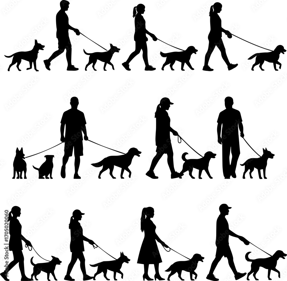 Naklejka premium Leash the dog silhouette