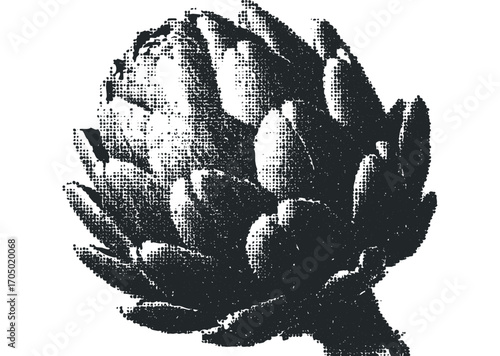 Halftone effect artichoke vegetable on transparent background. Vector hand drawn illustration