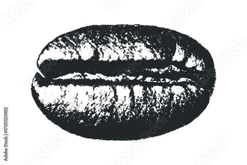 Grayscale Textured Coffee Bean Graphic on Transparent Layer. Vector hand drawn illustration