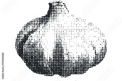 Garlic bulb abstract dot texture on white. Vector hand drawn illustration