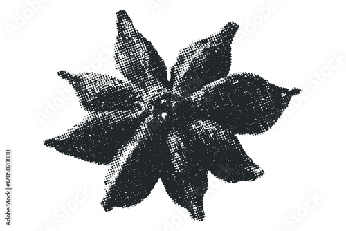 Halftone star anise spice image with transparent background. Vector hand drawn illustration