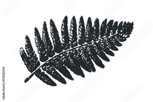 Grayscale fern leaf imprint texture on transparent background. Vector hand drawn illustration