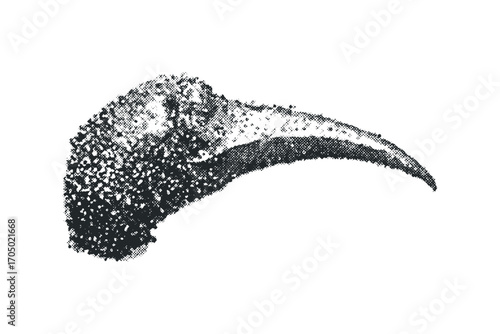 Monochrome halftone texture of an animal claw. Vector hand drawn illustration