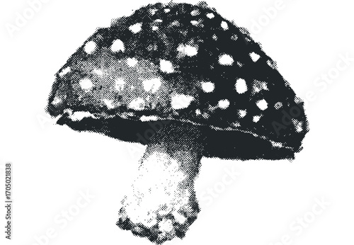Fly agaric mushroom on transparent. Vector hand drawn illustration