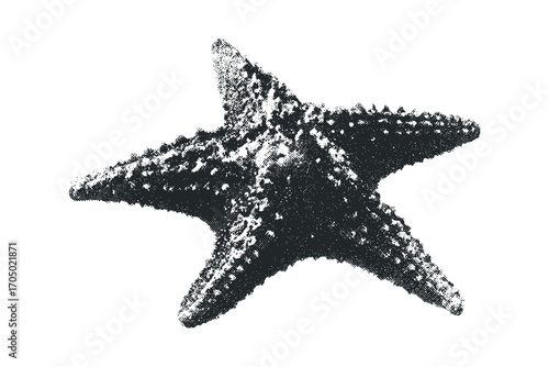 Starfish on transparent background. Vector hand drawn illustration
