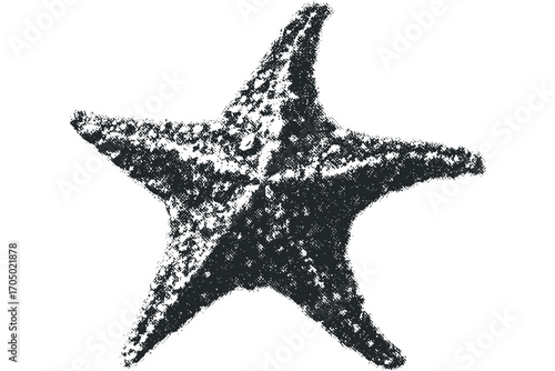 Textured Starfish Nautical Object on Transparent Background. Vector hand drawn illustration