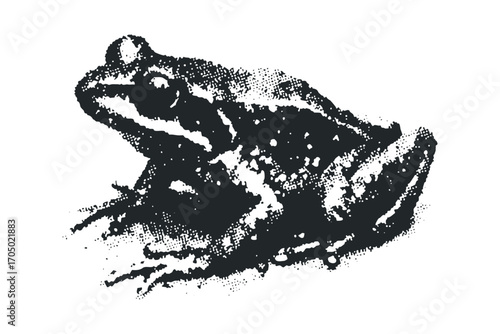 Monochrome frog creature with stippled texture on transparent background. Vector hand drawn illustration