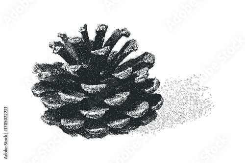 Detailed pine cone isolated on white transparent. Vector hand drawn illustration