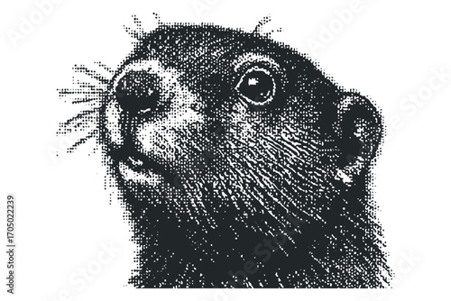 Groundhog Portrait Halftone Texture Image. Vector hand drawn illustration