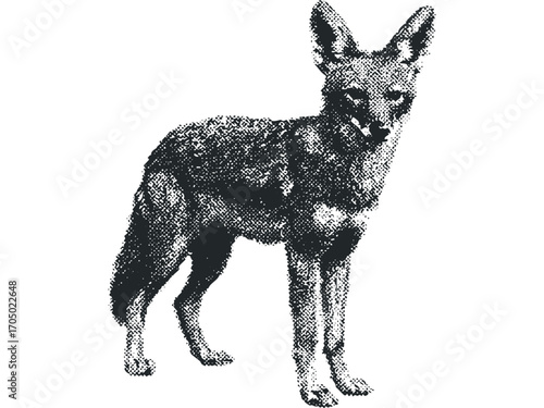 Halftone Black and White Fox Standing on Transparent Background. Vector hand drawn illustration