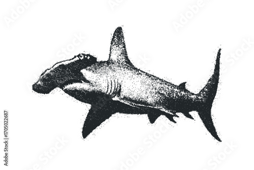 Hammerhead Shark Halftone Style. Vector hand drawn illustration