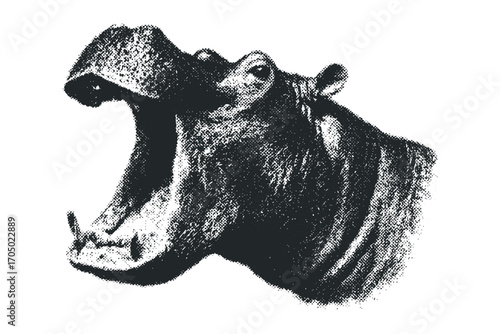 Aggressive Hippopotamus Head Open Mouth Image. Vector hand drawn illustration
