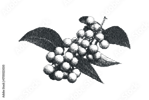 Halftone dots depicting a branch with berries and leaves isolated on white. Vector hand drawn illustration