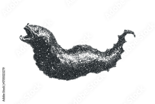 Textured eel graphic with open mouth on transparent background. Vector hand drawn illustration