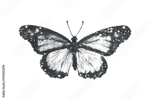 Halftone textured butterfly transparent. Vector hand drawn illustration
