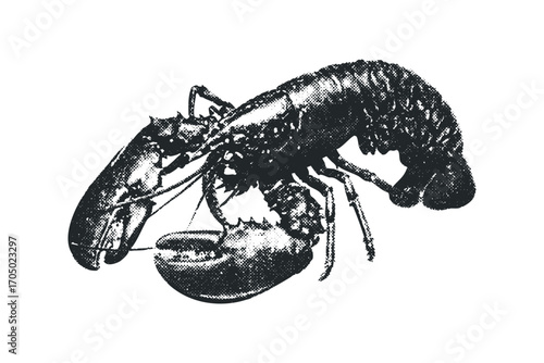 Halftone Style Lobster Image for Seafood and Nautical Themes. Vector hand drawn illustration