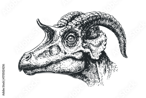 Line art dinosaur head with large horns and textured skin. Vector hand drawn illustration