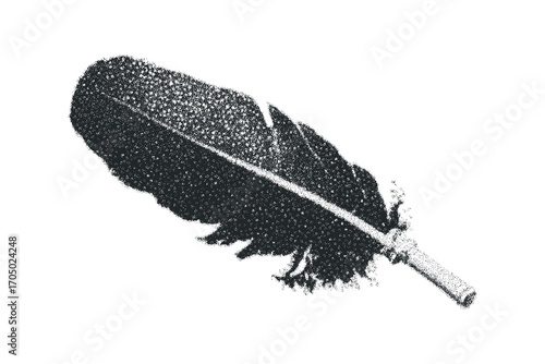 Single feather with detailed textures on transparent background. Vector hand drawn illustration