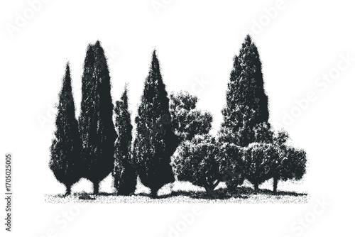 Group of tall evergreen trees and smaller bushy foliage on transparent background. Vector hand drawn illustration