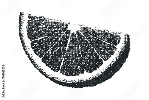 Textured orange slice, graphic halftone detail on transparent. Vector hand drawn illustration
