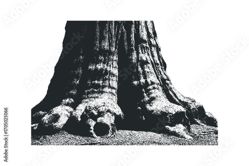 Tree Trunk Base and Roots on Transparent. Vector hand drawn illustration