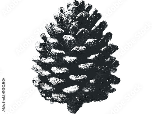 Stippled Pinecone Isolated on Transparent Background. Vector hand drawn illustration
