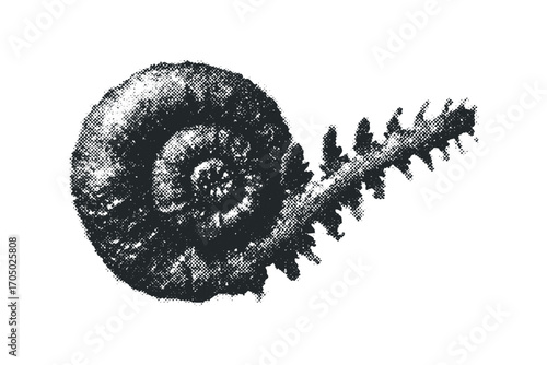 Monochrome Halftone Texture of a Spiral Fossil and Frond Element. Vector hand drawn illustration