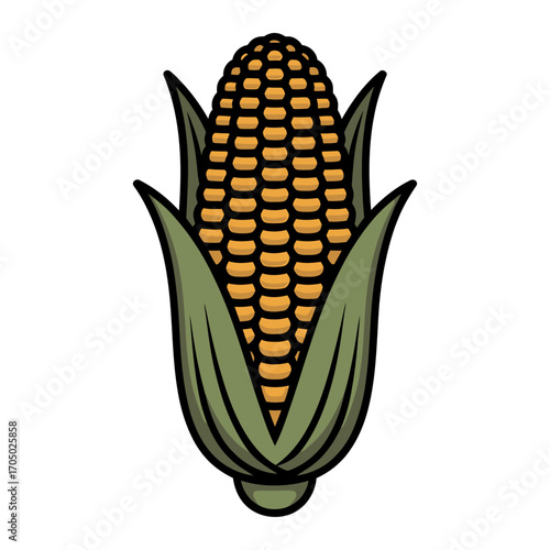 corn on the cob vector illustration with yellow kernels and green leaves