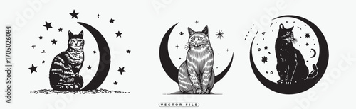 Mystical cats on moons with stars, perfect for magical designs and art